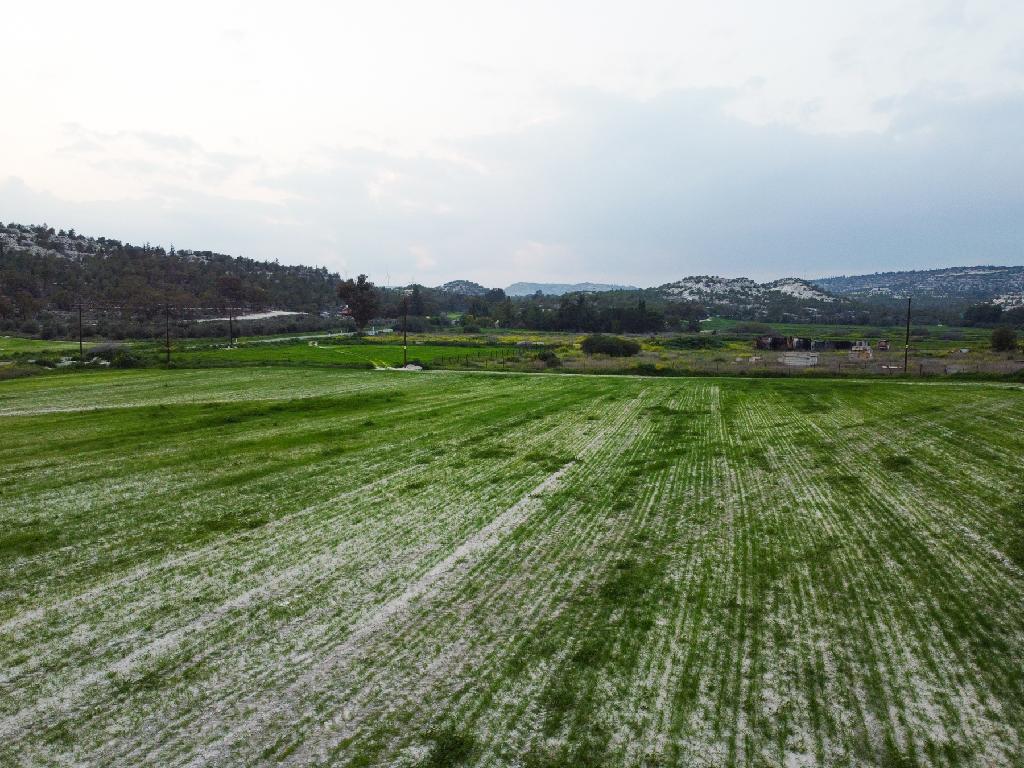 Field-Aradippou-PR41760