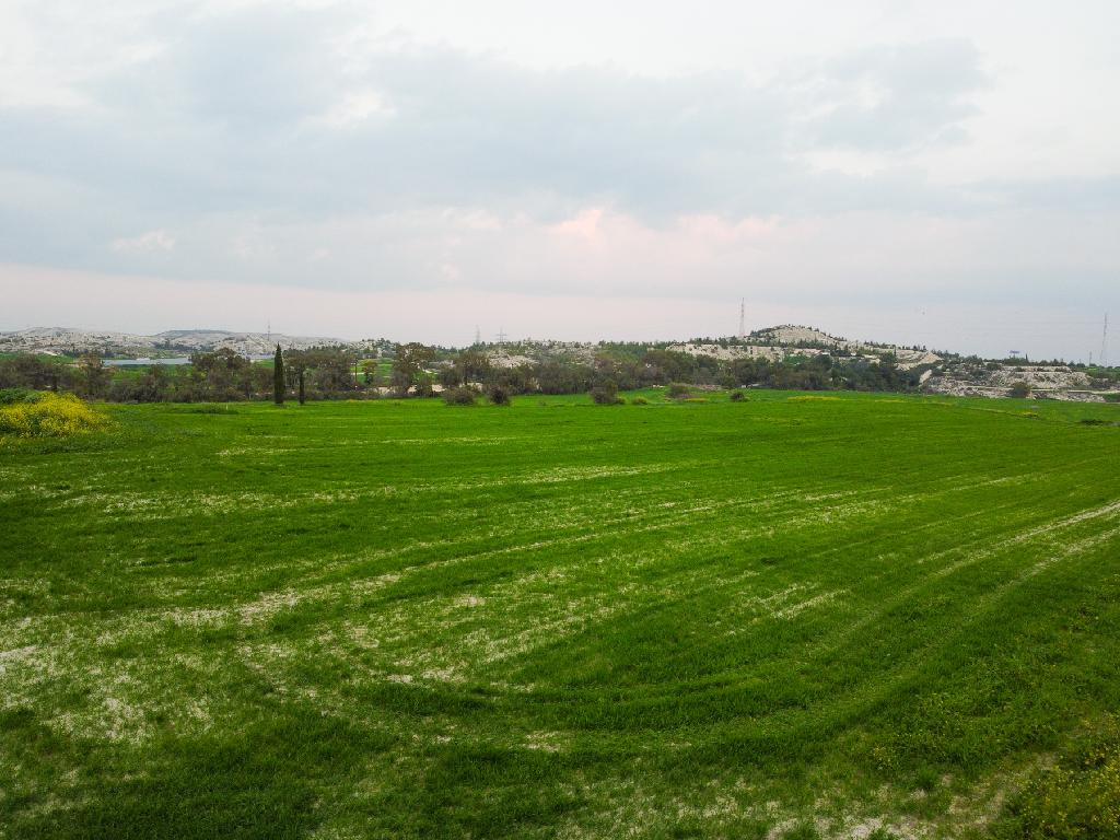 Field-Aradippou-PR41760