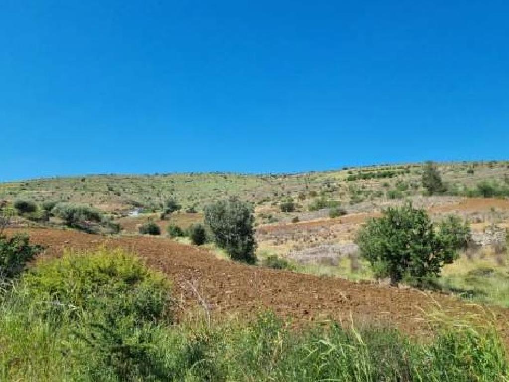 Field-Klirou-PR42108