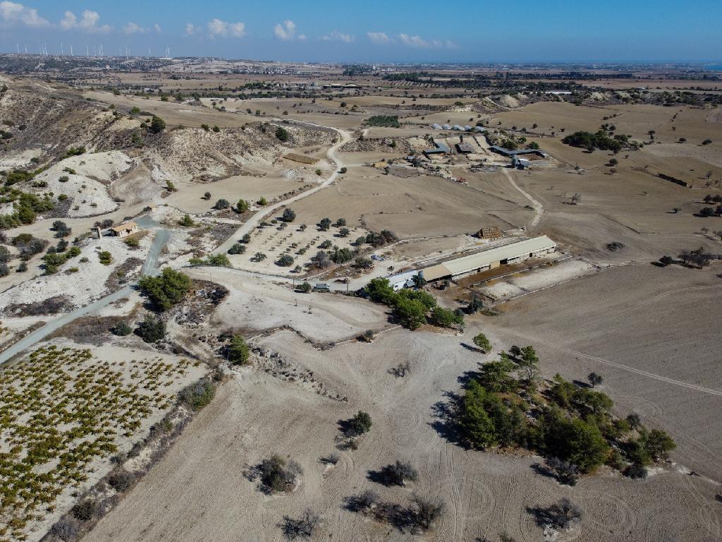 Κτηνοτροφική Μονάδα - Απλάντα, Λάρνακα