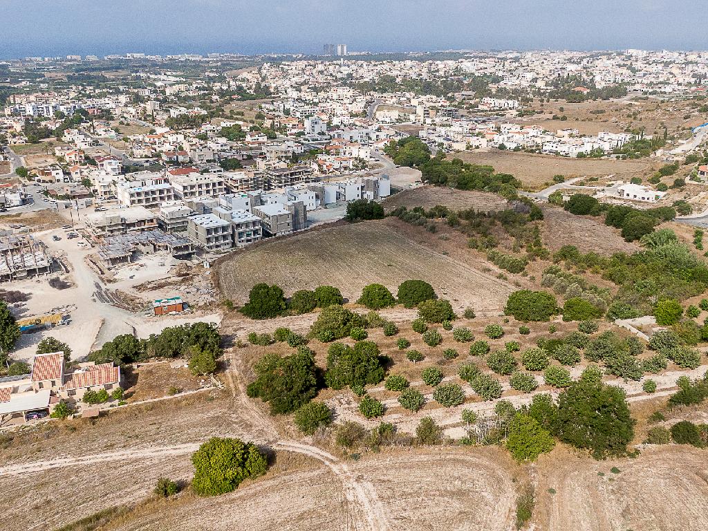 Field (Share) - Ierokipia, Geroskipou, Paphos