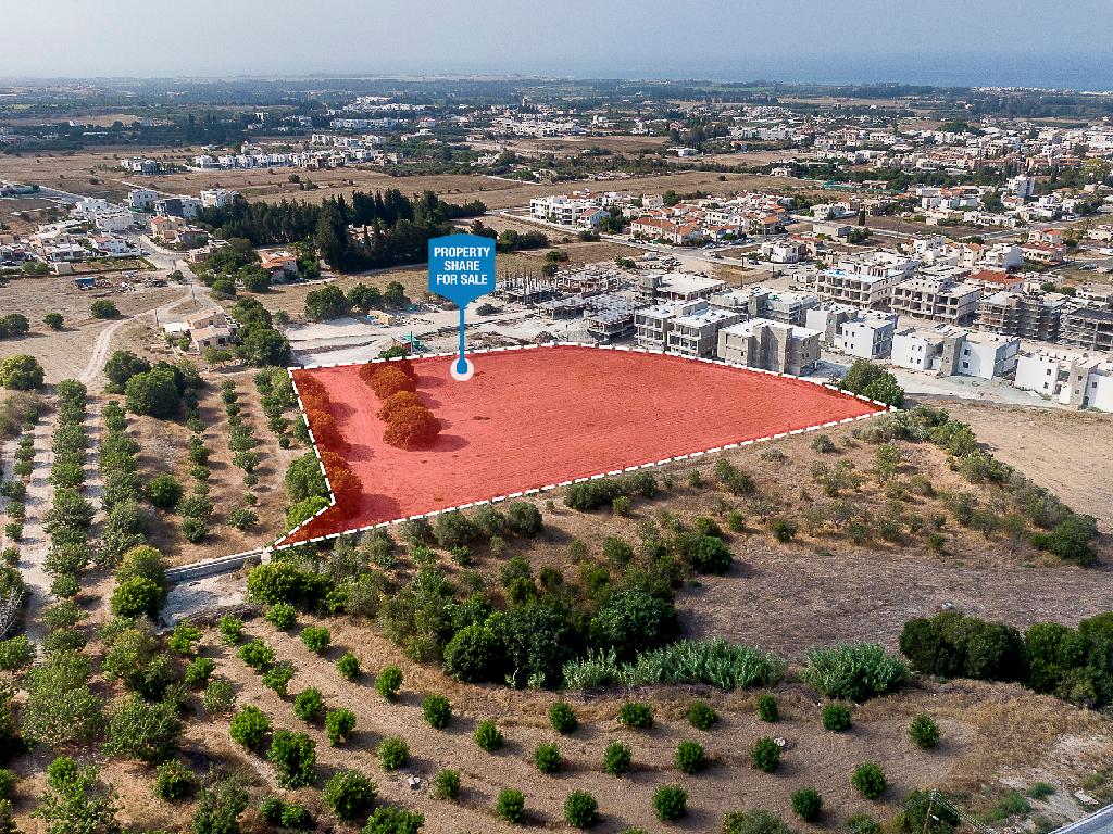 Field (Share) - Ierokipia, Geroskipou, Paphos