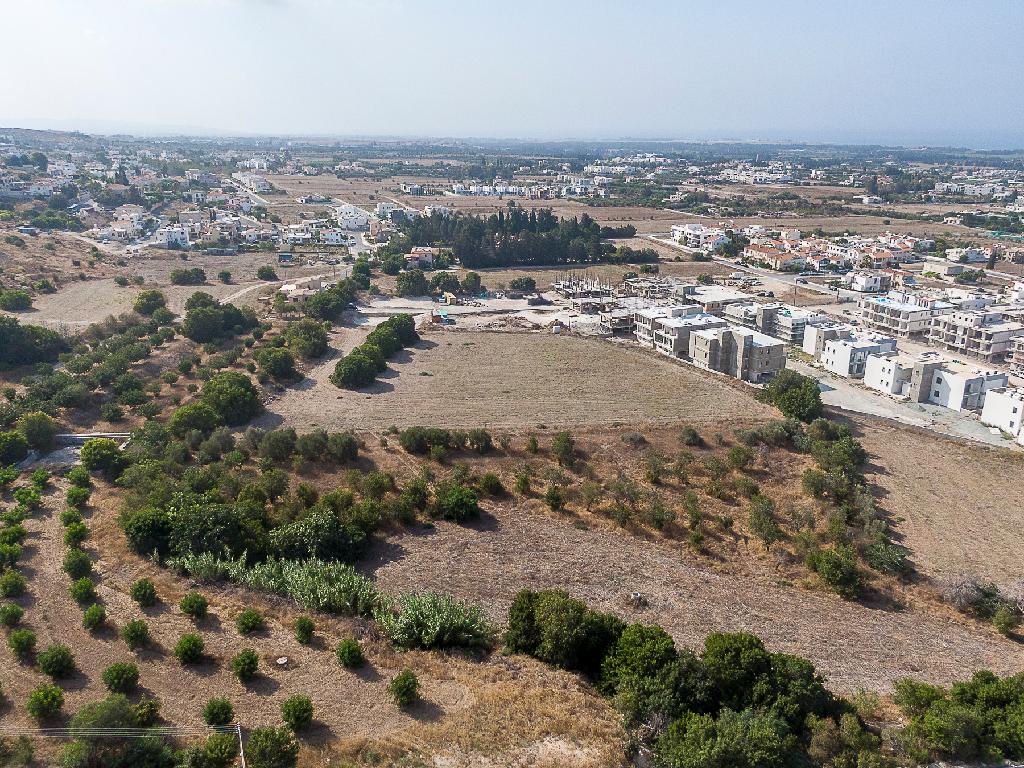 Field (Share) - Ierokipia, Geroskipou, Paphos