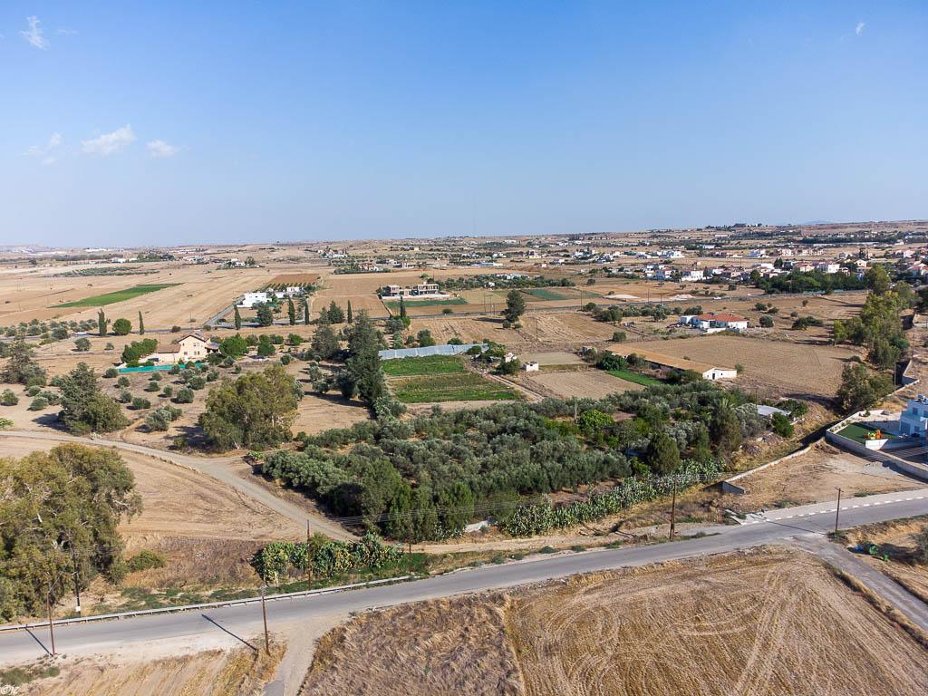 Field - Psimolofou, Nicosia