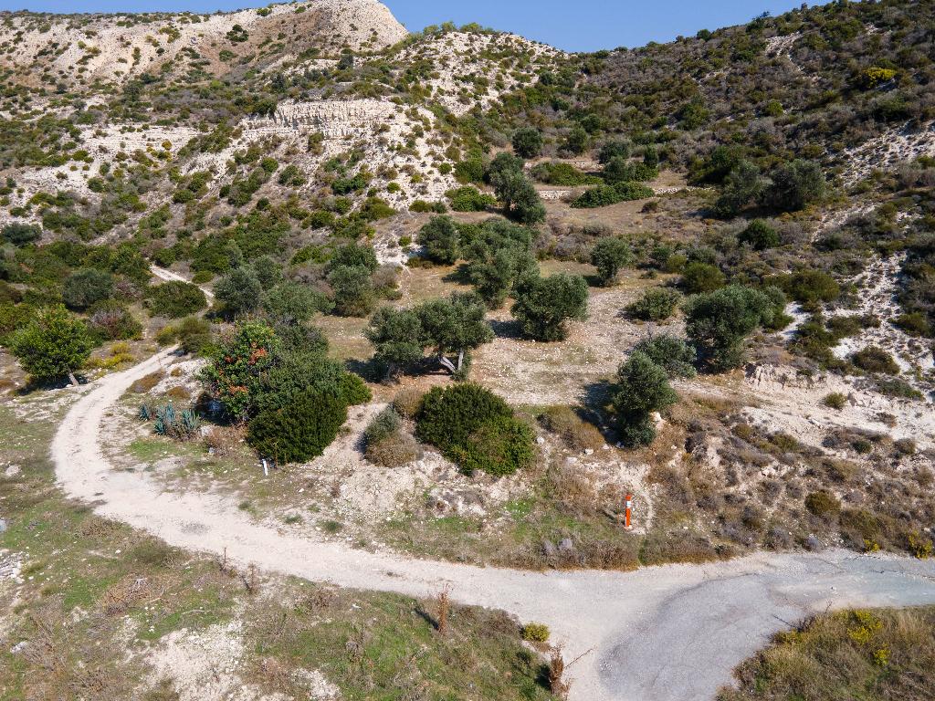 Field-Pissouri-PR15341