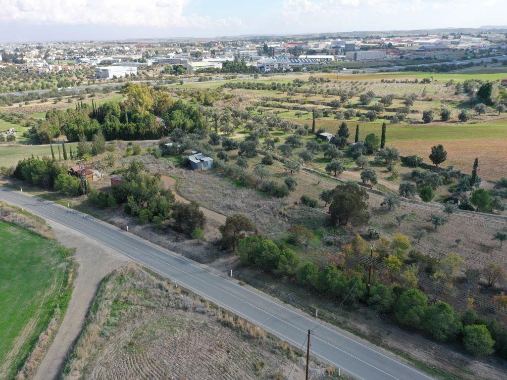 Field (Share) - Latsia, Nicosia