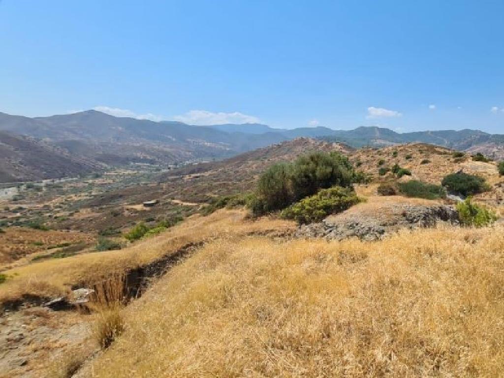 Field-Kato Pyrgos-PR33529