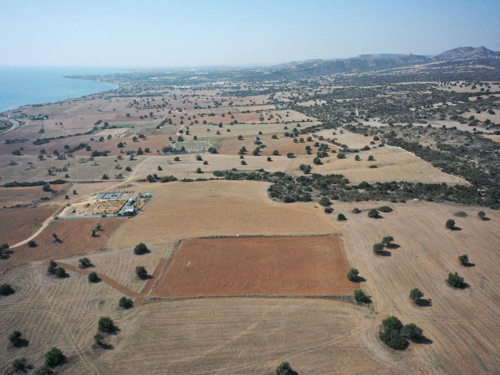 Field - Agios Theodoros, Larnaca