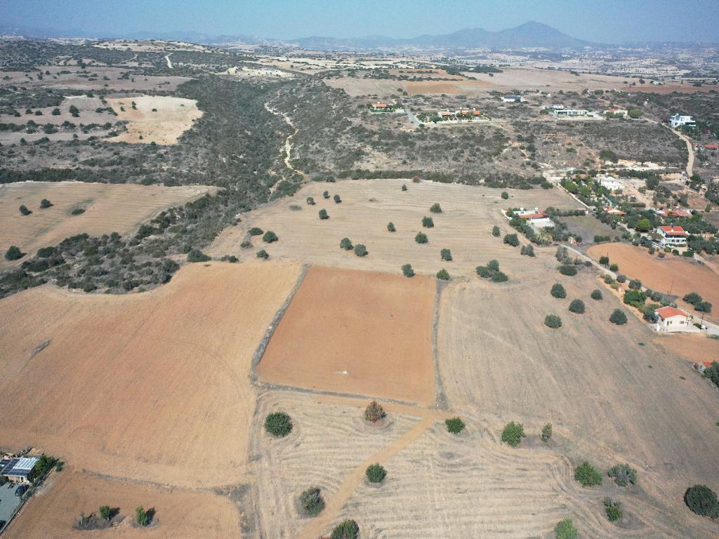 Field - Agios Theodoros, Larnaca