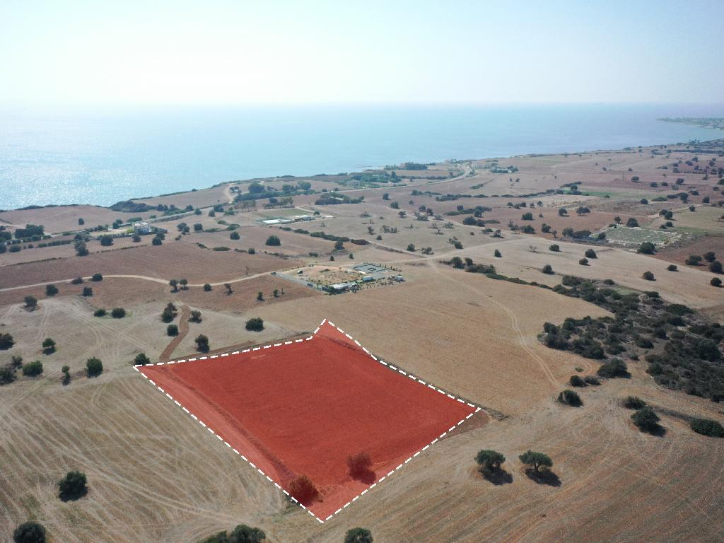 Field - Agios Theodoros, Larnaca