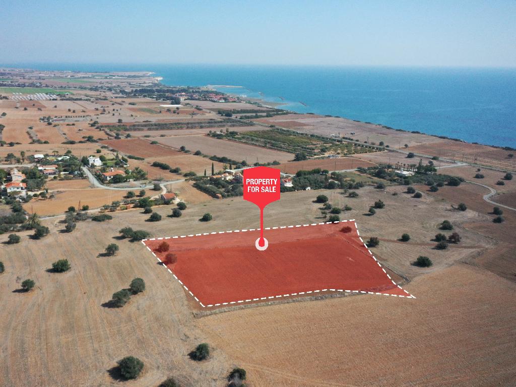 Field - Agios Theodoros, Larnaca