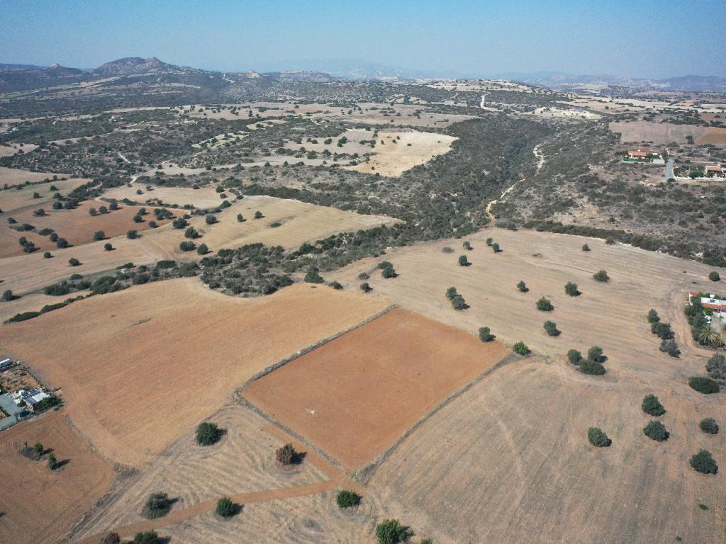 Field - Agios Theodoros, Larnaca
