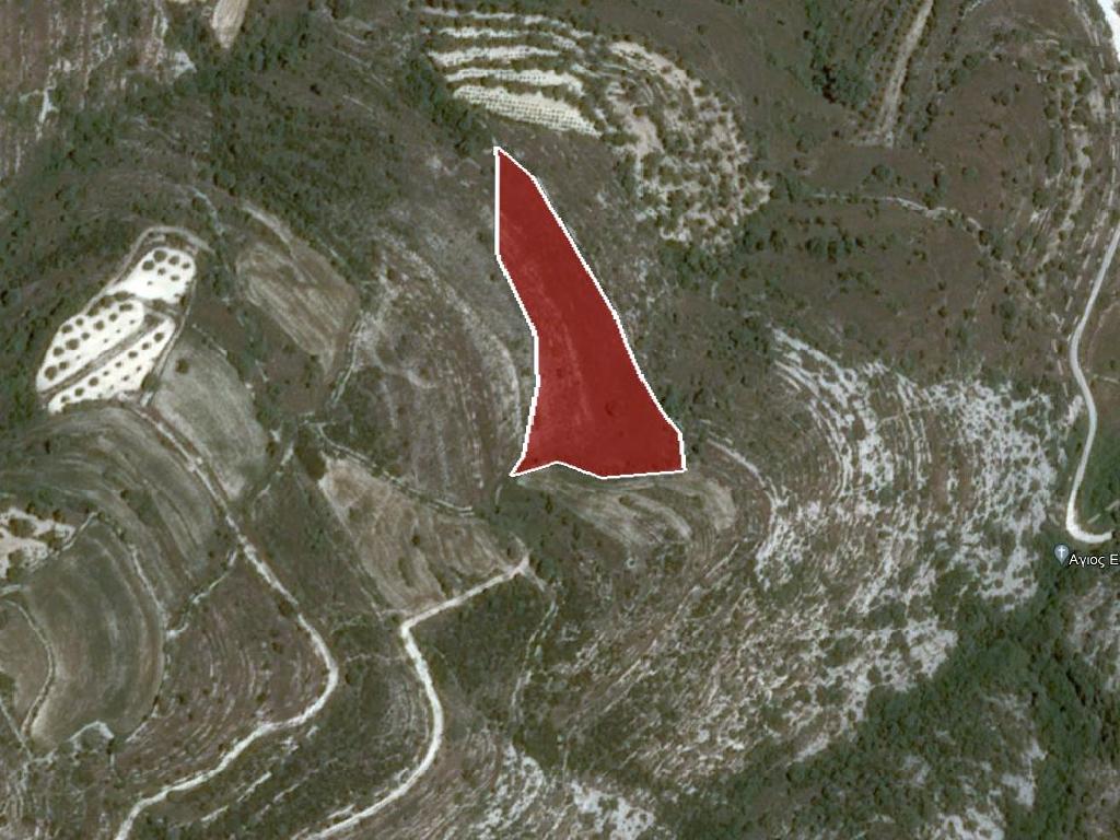 Field-Kritou Terra-PR34988