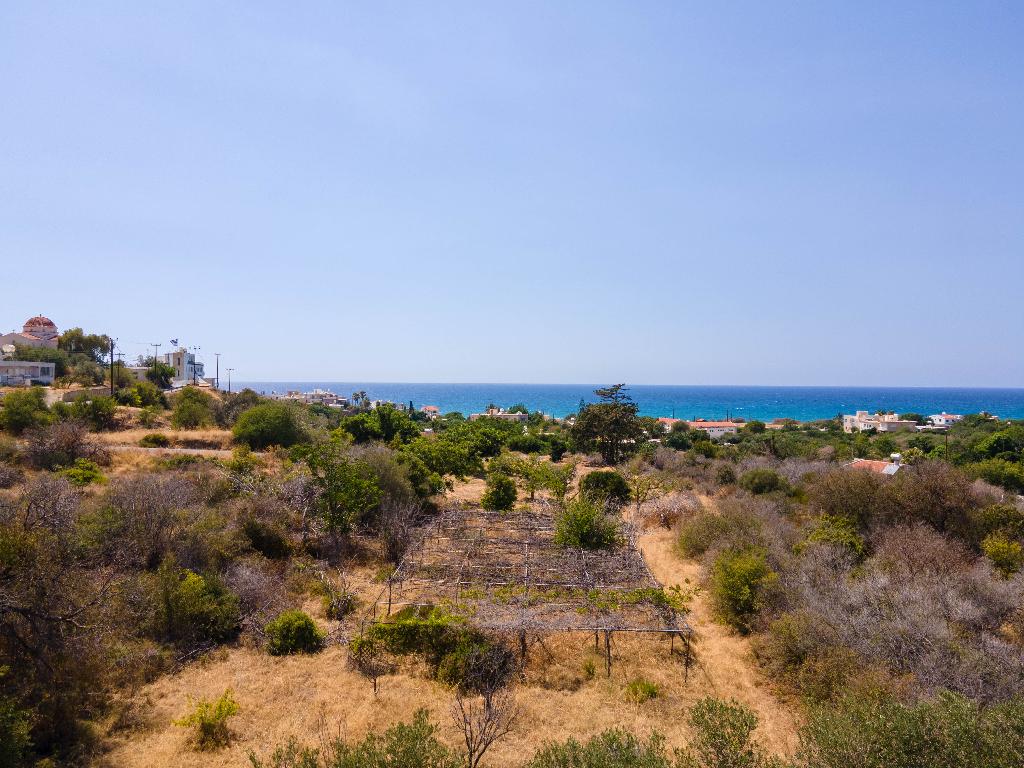Field-Pomos-PR35164