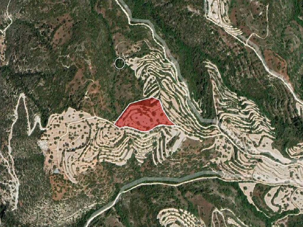Field-Koili-PR35171