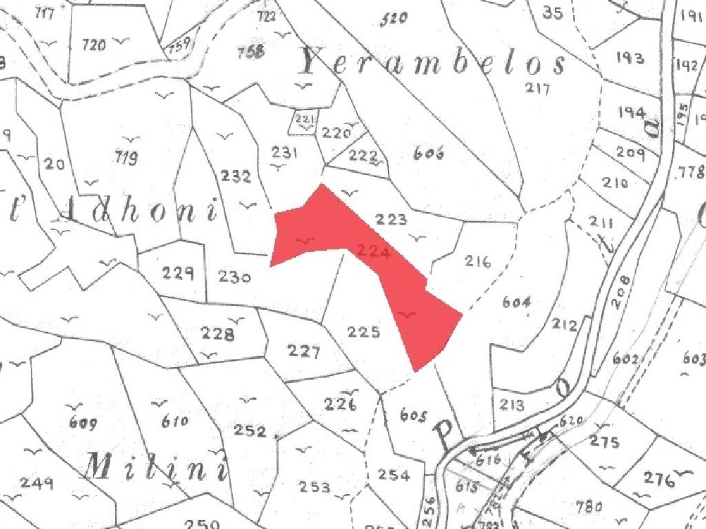 Field-Kaminaria-PR35625