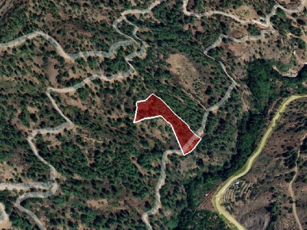 Field-Kaminaria-PR35625