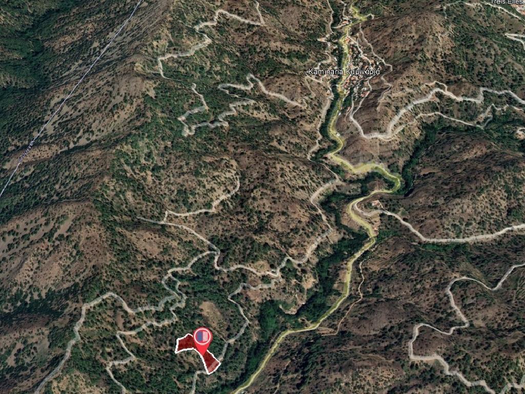 Field-Kaminaria-PR35625