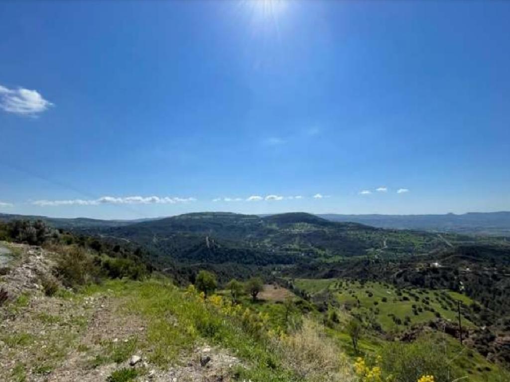 Field-Pelathousa-PR35082
