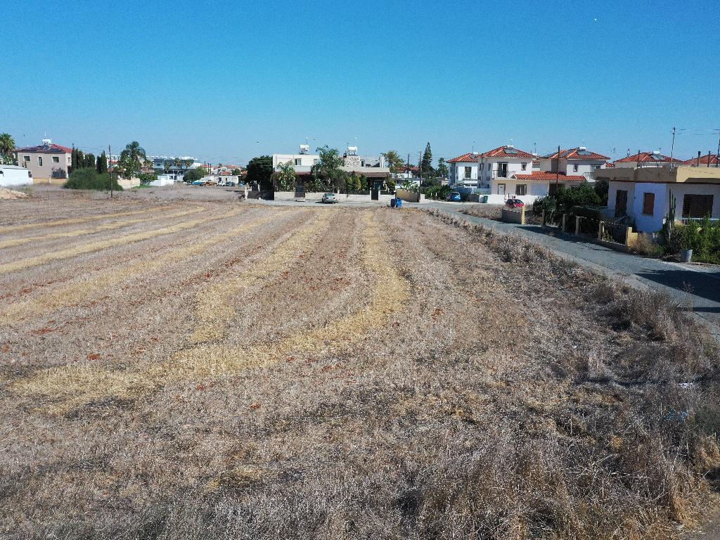 Field (Share) - Xylofagou, Larnaca