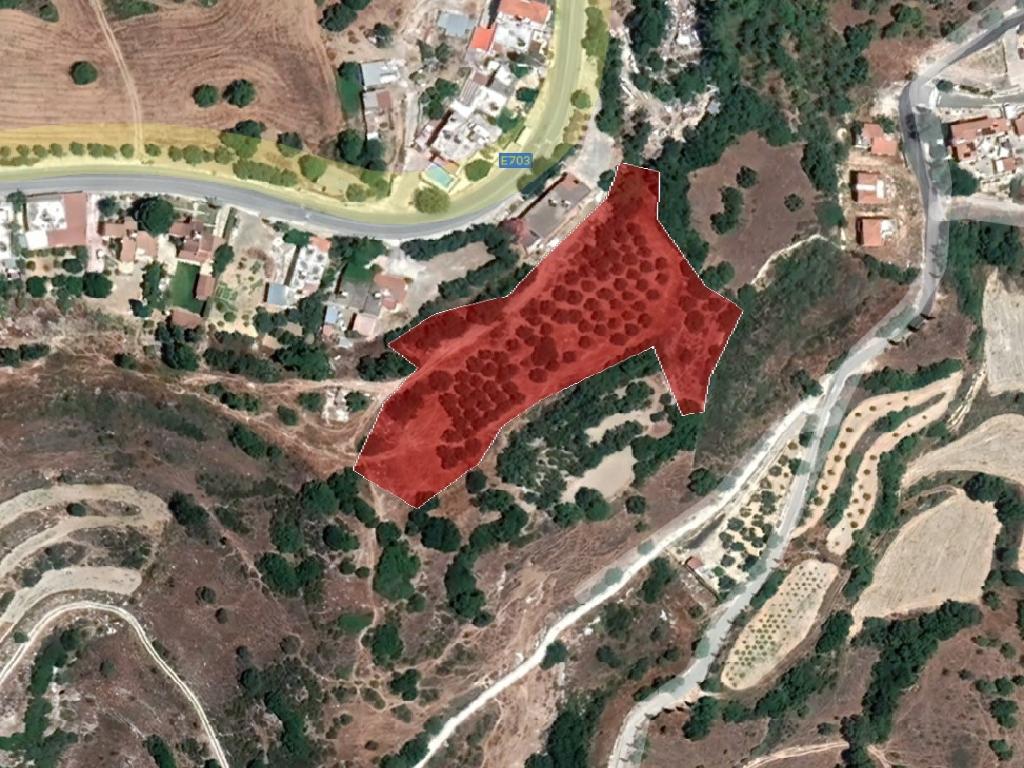 Field-Psathi-PR37345