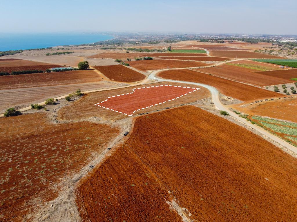 Field-Xylofagou-PR38068
