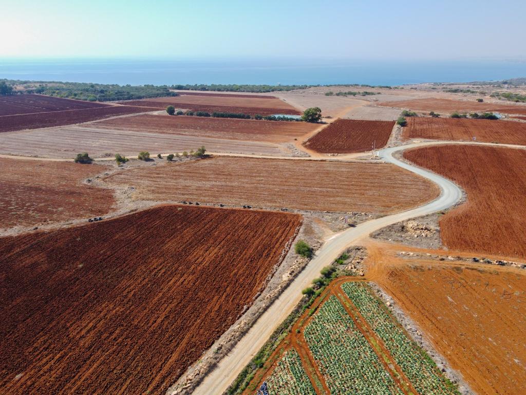 Field-Xylofagou-PR38068