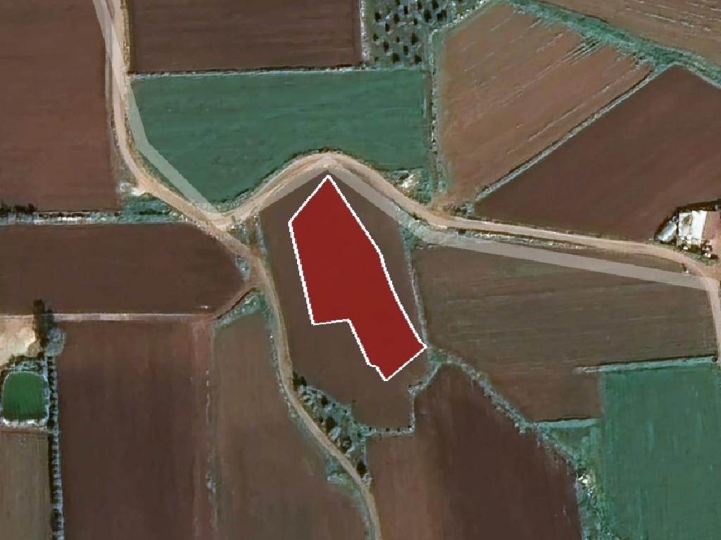 Field-Xylofagou-PR38068