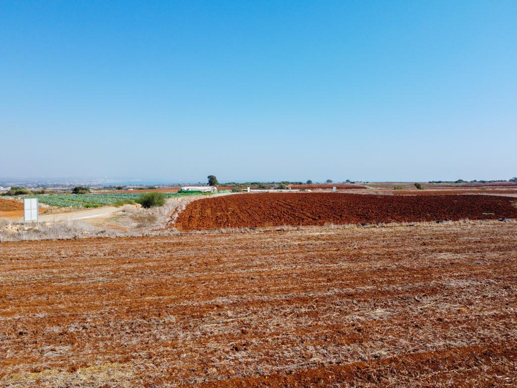 Field-Xylofagou-PR38068