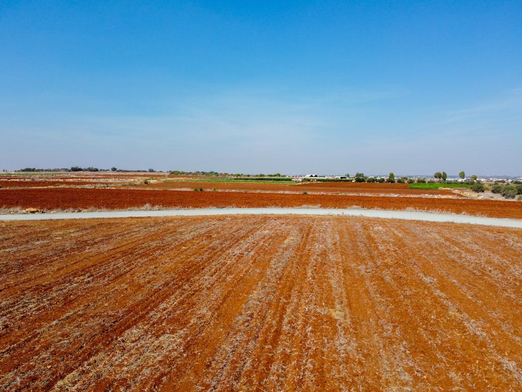 Field-Xylofagou-PR38068