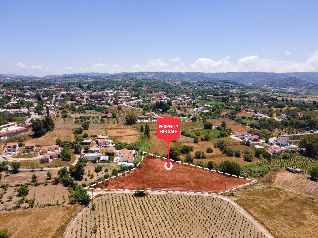 Field-Polemi-PR38568