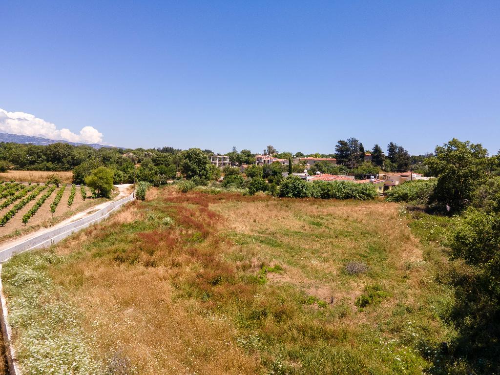 Field-Polemi-PR38568