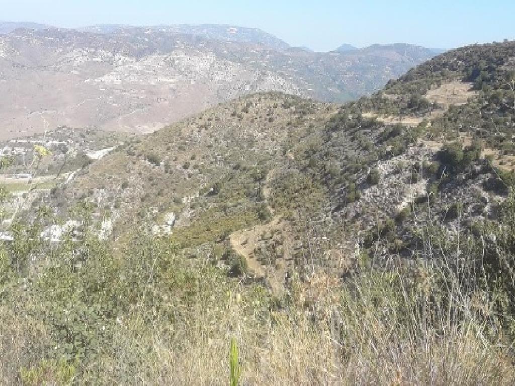 Field-Dora-PR37419