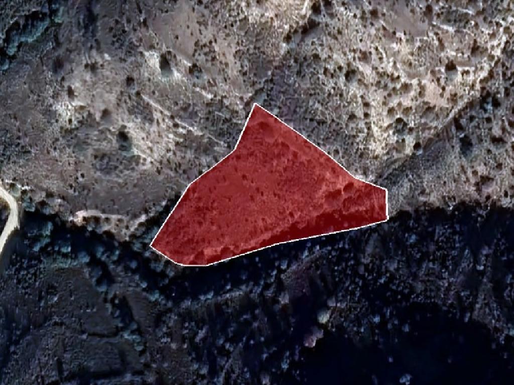 Field-Dora-PR37419