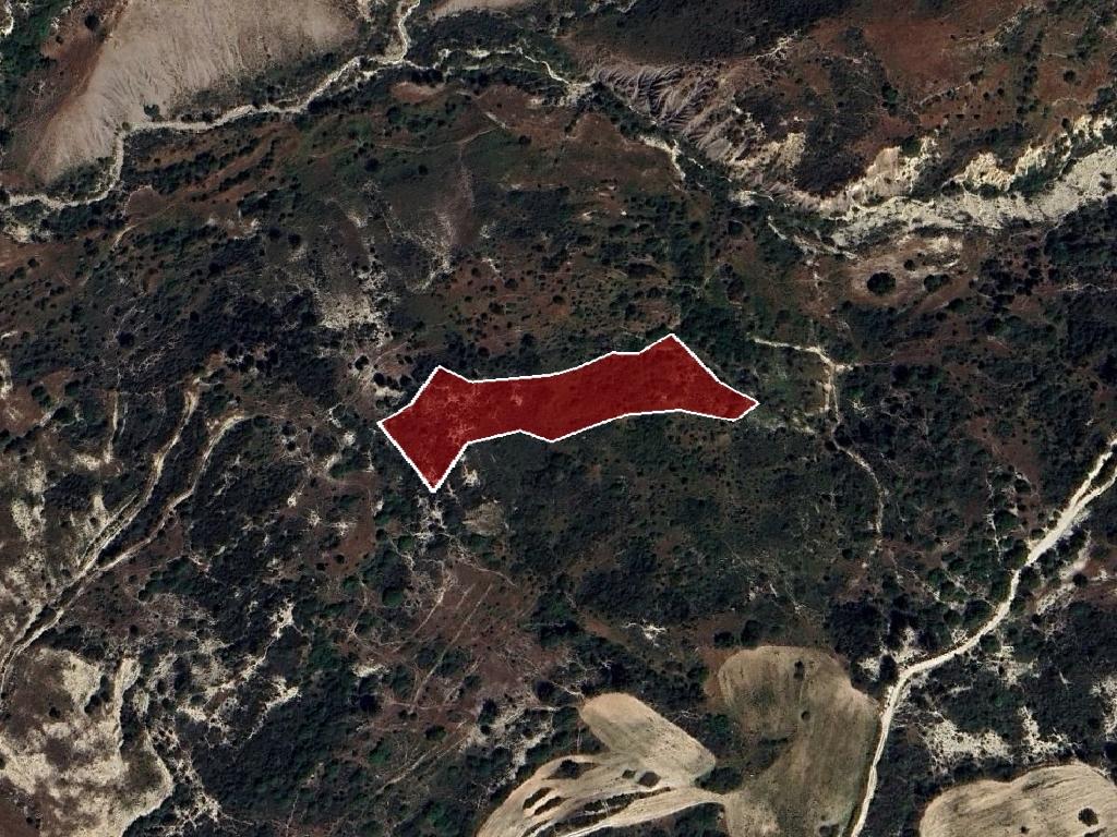 Field-Pegeia-PR39808