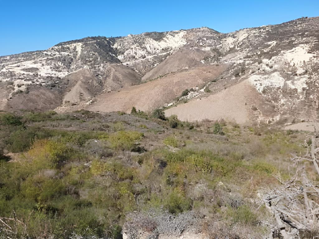 Field-Pegeia-PR39808