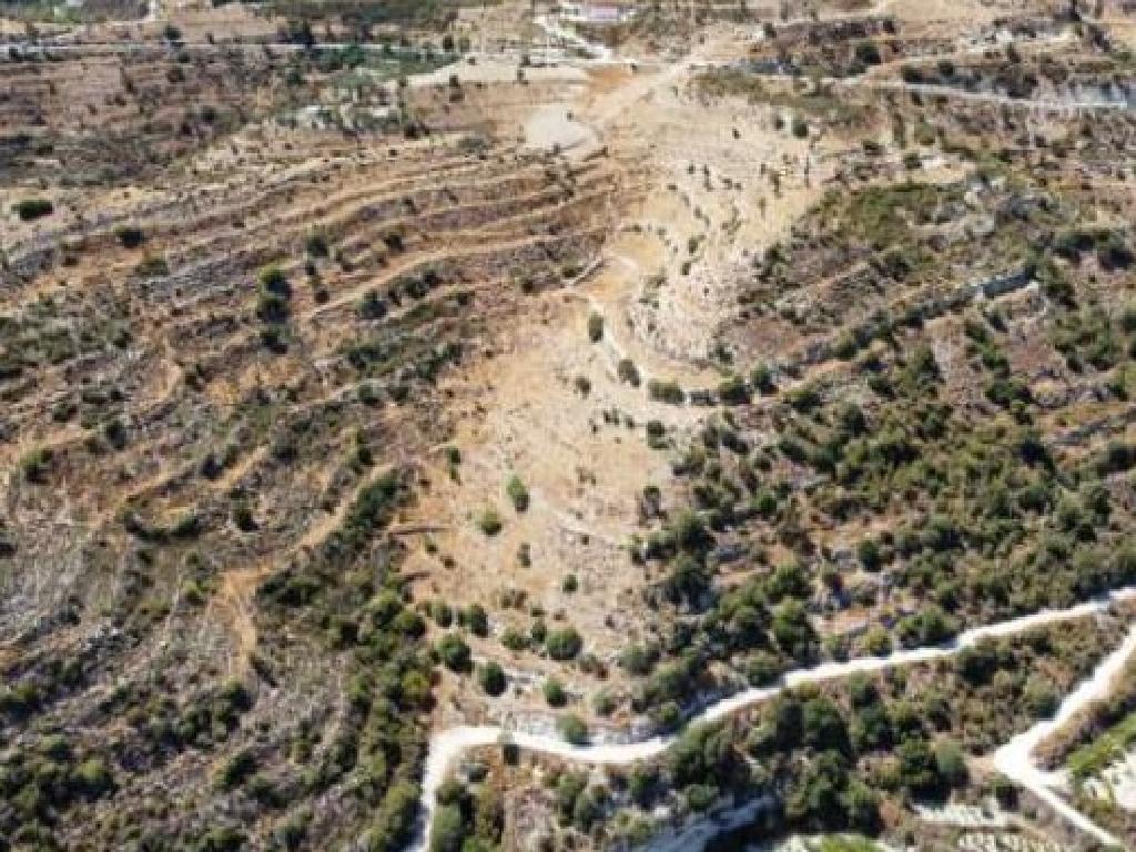 Field-Agios Therapon-PR40947