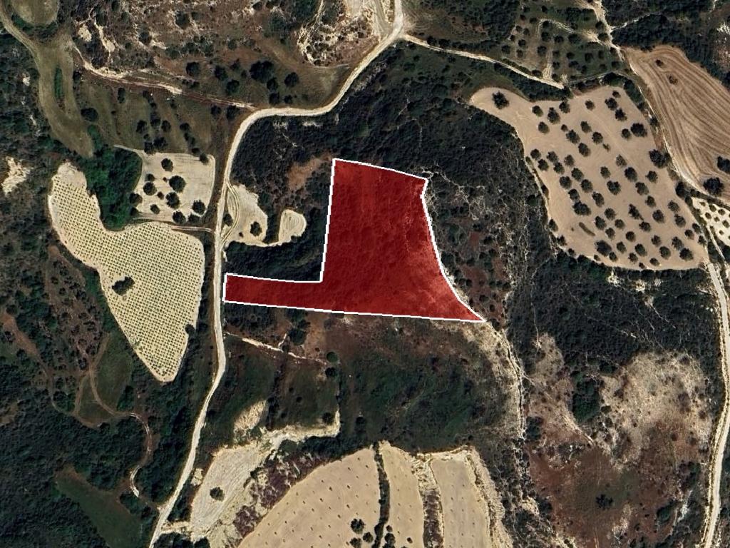Field-Drouseia-PR41286