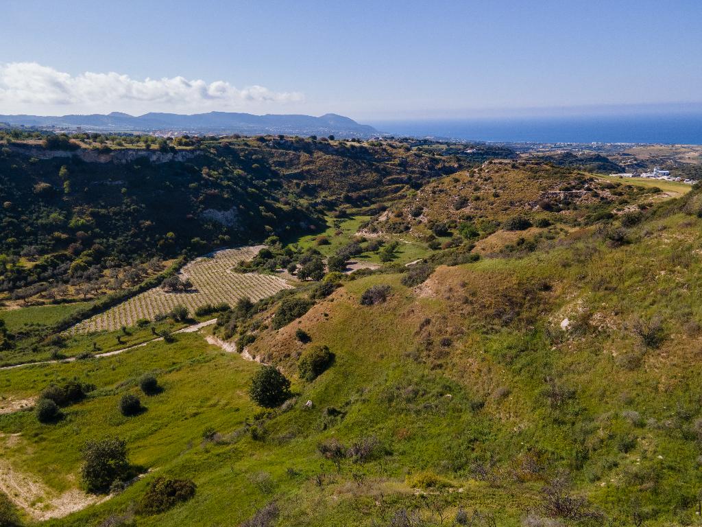 Field-Drouseia-PR41286