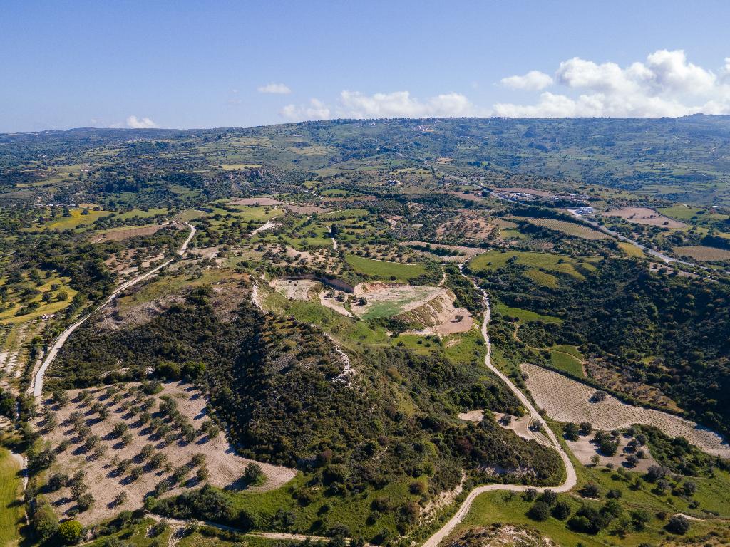 Field-Drouseia-PR41286