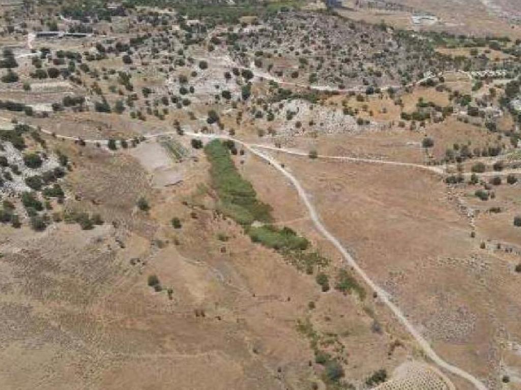 Field-Agios Dimitrianos-PR41177