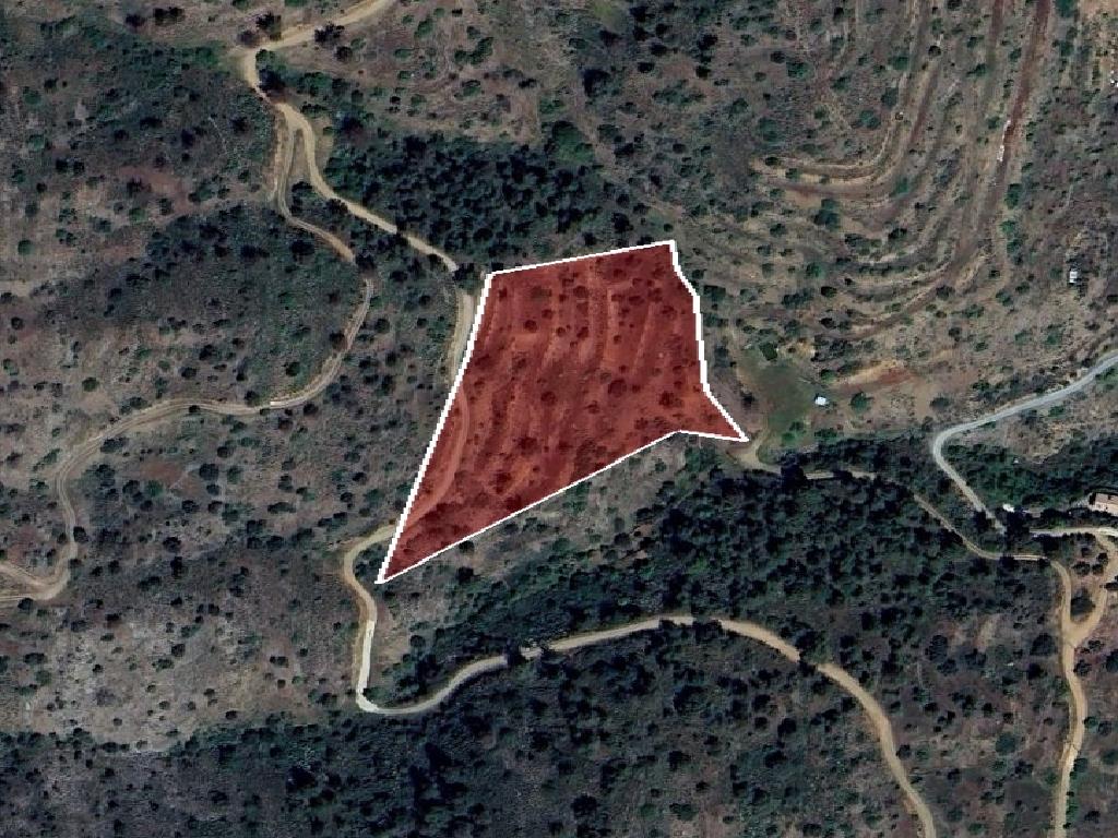 Field-Gourri-PR42106