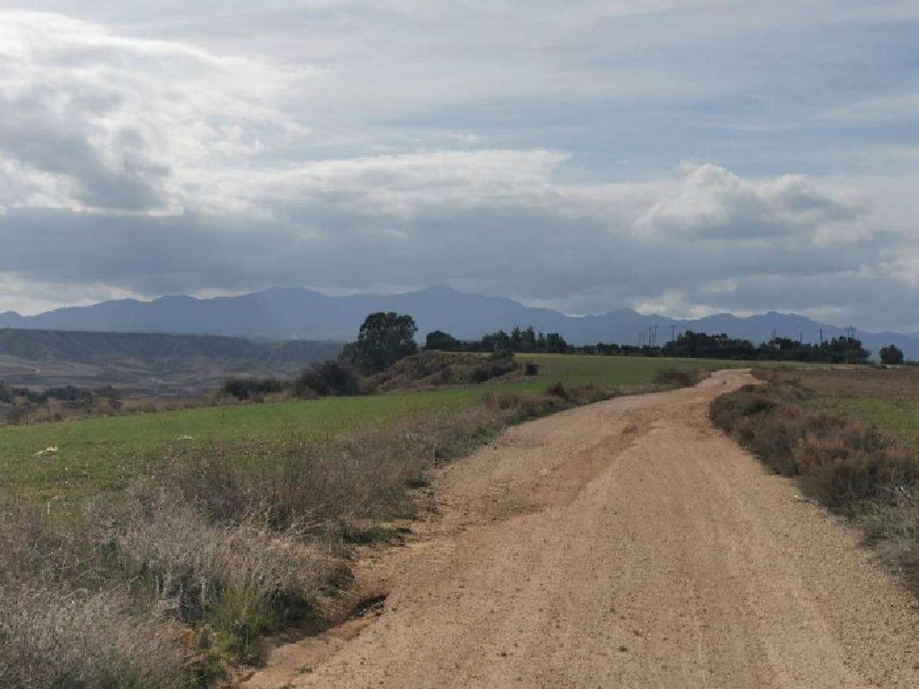 Field - Tseri, Nicosia