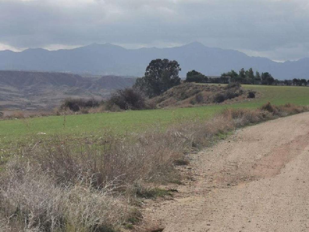 Field - Tseri, Nicosia