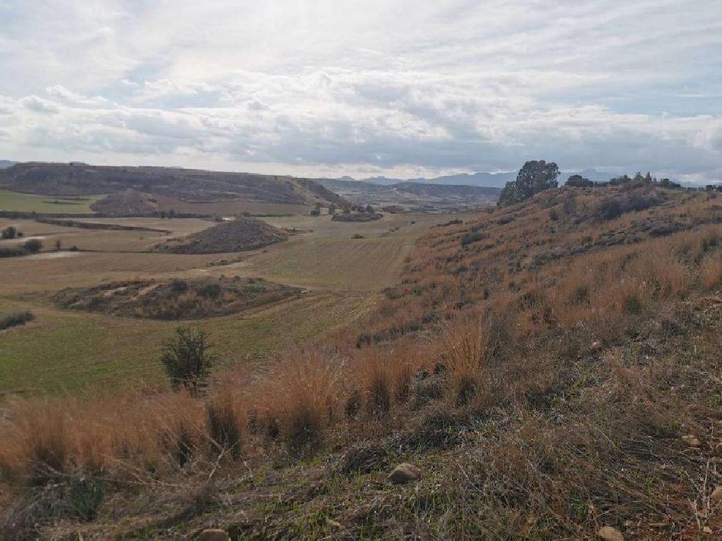 Field - Tseri, Nicosia