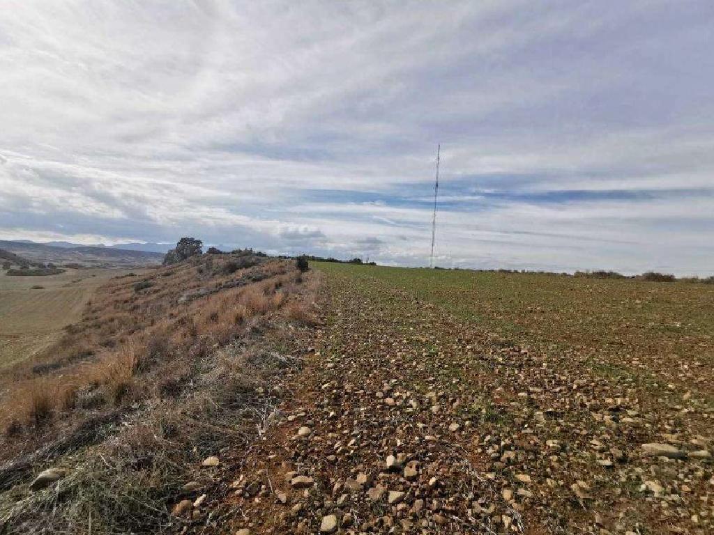 Field - Tseri, Nicosia