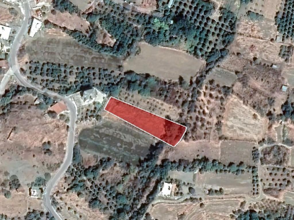 Field-Kato Pyrgos-PR14007