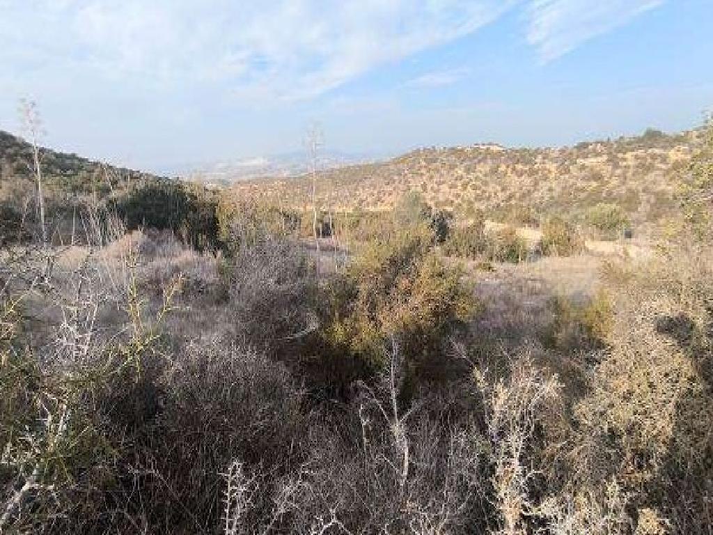 Field-Psematismenos-PR14237