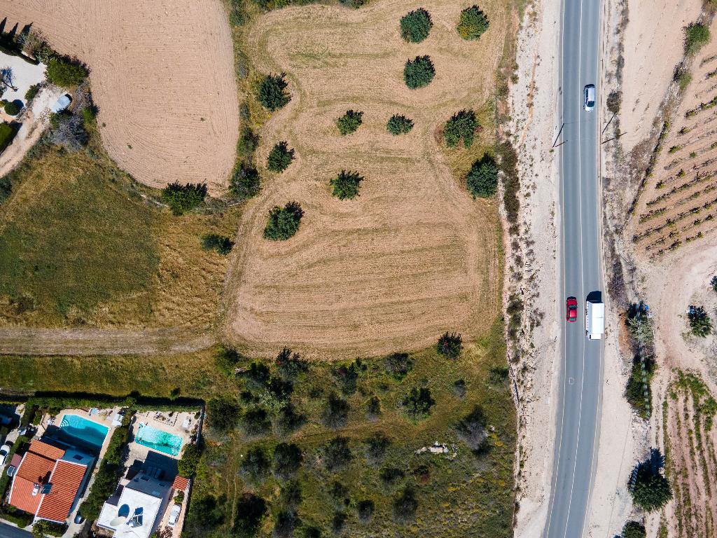 Field (Share) - Pegeia, Paphos