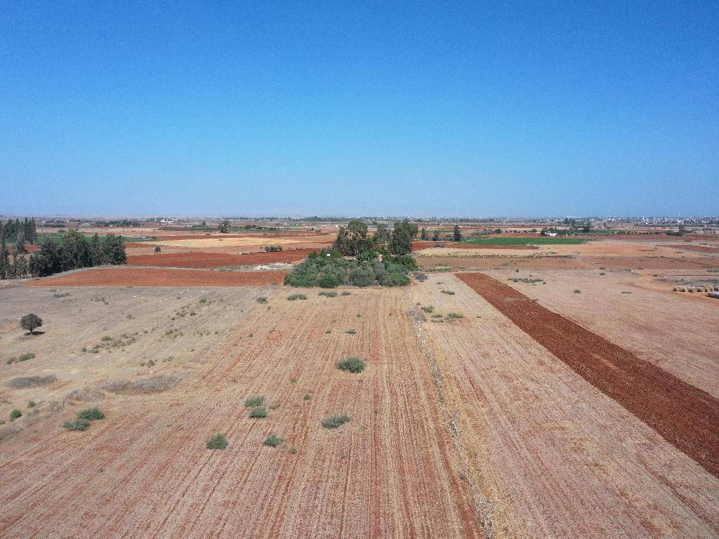 Field –Avgorou, Famagusta